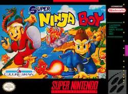 Super Ninja Boy
